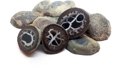 Septarie geode paartje - schijfjes