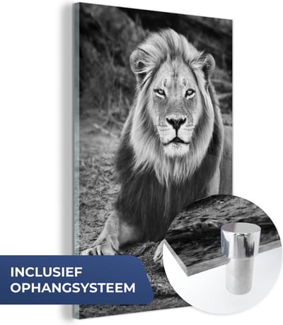 MuchoWow® Glasschilderij 40x60 cm - Schilderij acrylglas - Dieren - Zwart - Wit - Profiel - Foto op glas - Schilderijen