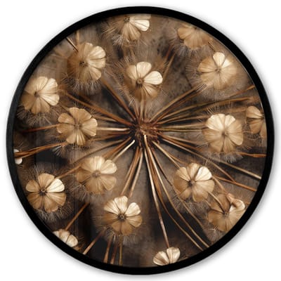 Poster in lijst Rond - Fotolijst 40x40 cm - Posters - Droogbloemen - Bruin - Natuur - Ronde posterlijst zwart - Decoratie - Wanddecoratie woonkamer - Muurdecoratie slaapkamer