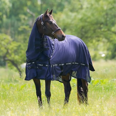 Paardenvliegendeken HV Polo Nena