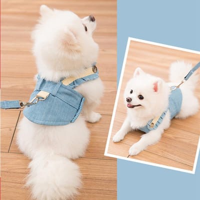 Adorable Harnais Laisse pour Chien Animal de Compagnie Ensemble Harnais Poitrine Respirant Corde de Promenade pour Chien Conçu Pour Petits Chiens Spitz Animal de Compagnie Gilet Harnais Corde M