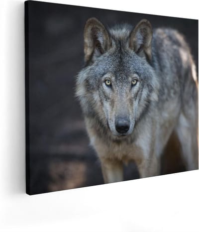Artaza Canvas Schilderij Wolf - 100x80 cm - Groot - Wanddecoratie Dieren - Muurdecoratie Bos - Schilderijen Op Canvas