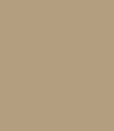 Carte Colori Calcare Kalkverf Primavera CC030 1 Liter