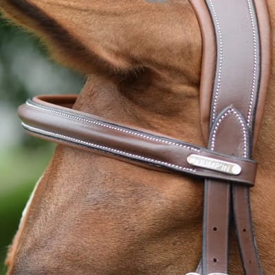 Frontaal voor paard Jump'In London