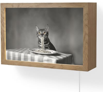 Wandlamp 30x20 cm - Oplaadbaar - Bengaal - Kat - Tafelkleed - Zwart - Wit - Dier - Wandlampen binnen woonkamer - Slaapkamer lamp met kabel - Decoratieve nachtlamp - Vloerlamp snoer