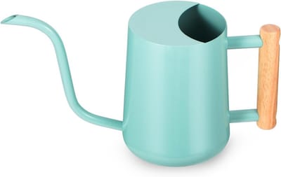 Moderne Gieter voor Kamerplanten – 1 Liter – Roestvrij Staal – Stijlvolle Watergeefkan voor Binnen en Buiten