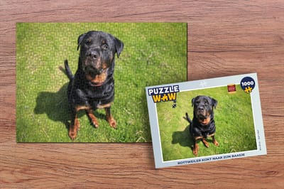 Puzzel Rottweiler kijkt naar zijn baasje - Legpuzzel - Puzzel 1000 stukjes volwassenen