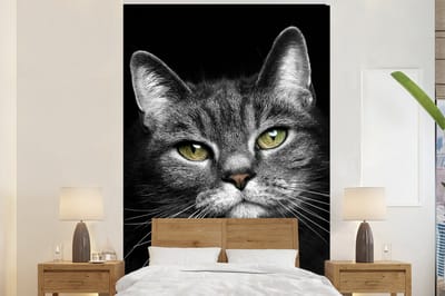 Behang - Fotobehang Huisdieren - Kat - Dieren - Zwart - Wit - Breedte 145 cm x hoogte 220 cm
