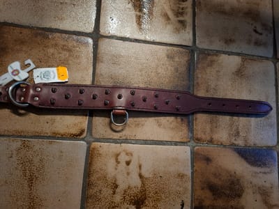 hamilton leren halsband