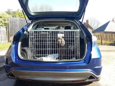Hondenkooi Auto - Reiskooi Hond - Veilig Transport - Speciaal Ontworpen - 93 x 62 x 63 cm - Zilver