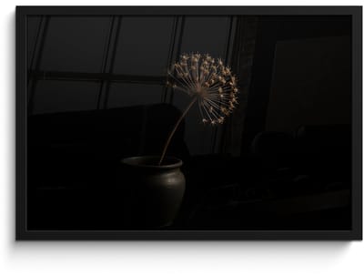 Poster in lijst - Fotolijst 60x40 cm - Posters - Bol - Gedroogd - Vaas - Zwart - Posterlijst zwart - Decoratie - Wanddecoratie woonkamer - Muurdecoratie slaapkamer