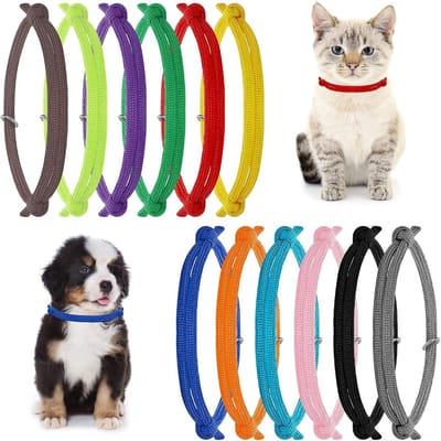 Kleurige ID-halsbanden voor kittens en puppy's, verstelbaar, set van 12, perfect voor identificatie en comfort