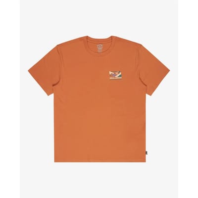 Billabong Range T-Shirt oranje