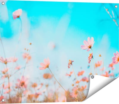 Gards Tuinposter Paarse Kosmos Bloemen - 80x60 cm - Tuindoek - Tuindecoratie - Wanddecoratie buiten - Tuinschilderij