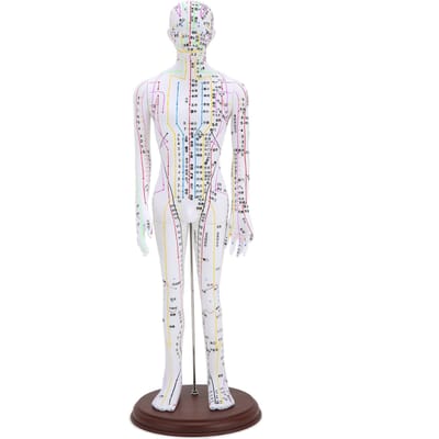 Modèle d'acupuncture de 60 cm Modèle de méridiens d'acupuncture humaine avec ensemble d'aiguilles d'acupuncture de base