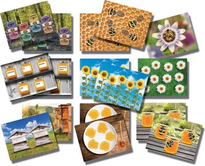 Yellow Door Activiteitenkaarten Leren Tellen Honingbij ( 16 kaarten)