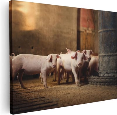 Artaza Canvas Schilderij Biggetjes - 40x30 cm - Klein - Wanddecoratie Dierenschilderij - Muurdecoratie Woonkamer - Kamer Accessoires