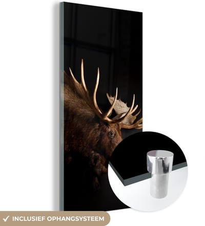 MuchoWow® Glasschilderij 20x40 cm - Schilderij acrylglas - Eland - Gewei - Portret - Foto op glas - Schilderijen