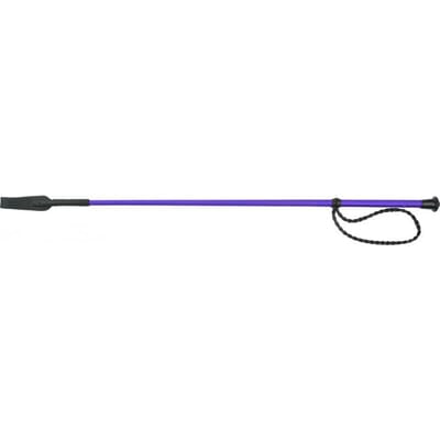 Paardrijzweep Whip & Go Twist