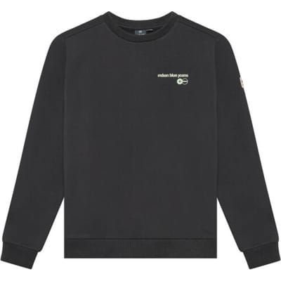 Indian Blue Sweat 960757