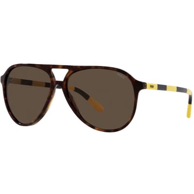Lunettes RALPH LAUREN PH4173-500373. Lunettes de soleil, Couleur marron. Homme.