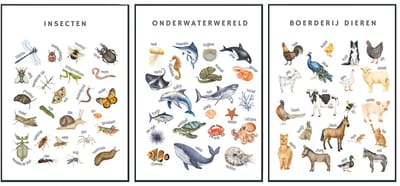 No Filter - Educatieve posters - 3 stuks - 21x30 cm - A4 formaat- Kinderkamer posters - Boerderijdieren poster - Insecten poster - Zeedieren poster