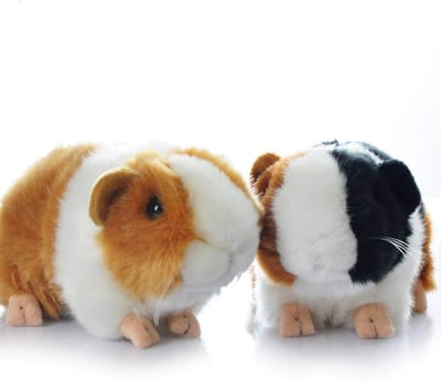 carmdering - Cavia Knuffel - Pluche Cavia - Zacht Dier Knuffel - Set van 2, 10×18 cm, kort pluche, PP-vulling - Realistisch, schattig, handwasbaar - Perfect voor kinderen en verzamelaars - Cadeau voor verjaardag en Kerstmis
