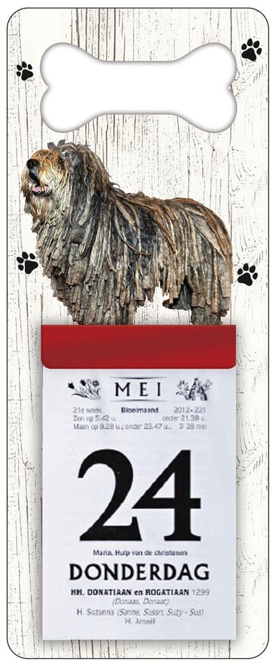 Scheurkalender 2027 Hond: Bergamasco