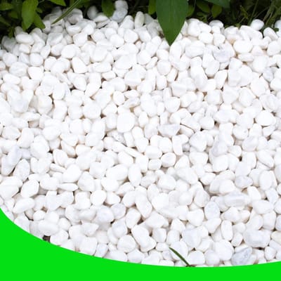 Witte Kiezels - Decoratieve Steen Grind - Planten Bakken - Natuurstenen Rivierrotsen - 8.2 kg - Wit
