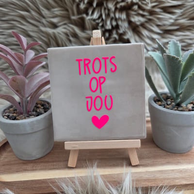 Robuust Wenstegeltje “Trots op Jou” – Lief Cadeautegeltje met Hartje – Trendy nu – Geslaagd – Vriend(in) – Familie – Gezin – Zomaar – Cadeau – Geslaagd