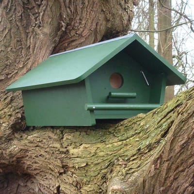 CJ Wildlife Nestkast voor Steenuil - Aanbevolen door de Vogelbescherming Nederland - Nestkastje - Houten Vogelhuisje - FSC-gecertificeerd - Groen