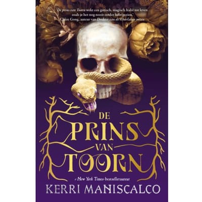 De Prins Van Toorn - Koninkrijk Der Zonden - Kerri Maniscalco