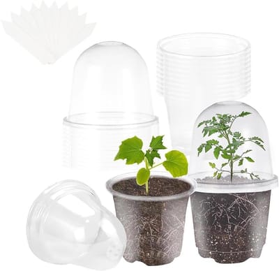 10 cm Kweekpotten met Vochtige Deksel en Plantpluggen - Ideaal voor Zaden en Zaailingen, Perfect voor Orchideeën en Bloemen