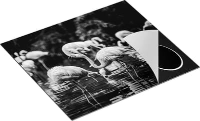 Chefcare Inductie Beschermer Kudde Flamingo's in de Jungle in het Water - Zwart Wit - 60x50 cm - Afdekplaat Inductie - Kookplaat Beschermer - Inductie Mat