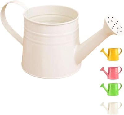 Kleine gieter - Waterpot metaal - Planten verzorgen - Roestvrij ijzer - 1 liter - Wit