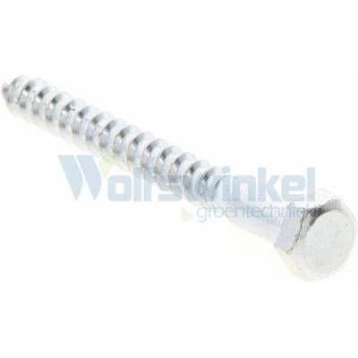 Hoenderdaal houtdraadbout gegalvaniseerd 8 x 80 mm din 571 - doos à 200 stuks