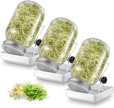 DailySupplies® Kiempot voor Kiemzaden - Kiemtoren - Kiemglas Kiemgroente