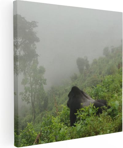 Artaza Canvas Schilderij Aap - 30x30 cm - Klein - Wanddecoratie Jungle - Muurdecoratie Wilde Dieren - Kamer Accessoires