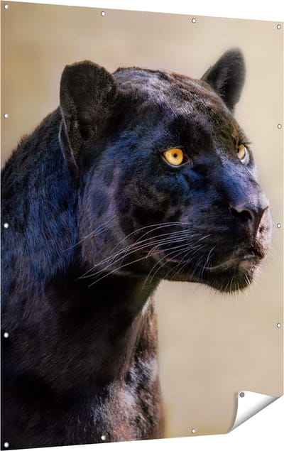 Gards Tuinposter Zwarte Panter met Oranje Ogen - 120x160 cm - Tuindoek - Tuindecoratie - Wanddecoratie buiten - Tuinschilderij