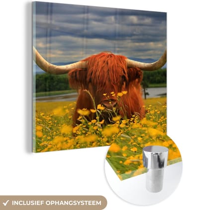 MuchoWow® Glasschilderij 50x50 cm - Schilderij acrylglas - Schotse Hooglander - Dieren - Bloemen - Foto op glas - Schilderijen