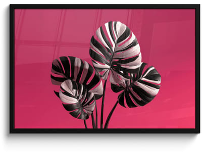 Poster in lijst - Fotolijst 90x60 cm - Posters - Bladeren - Rond - Roze - Posterlijst zwart - Decoratie - Wanddecoratie woonkamer - Muurdecoratie slaapkamer
