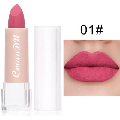 15 kleuren Matte Lipsticks Waterdicht Langdurige Sexy Rode Lip Stick Make-Up Bruin Fluwelen Pigmenten Lip Tint Profissional Cosmetische 01 white