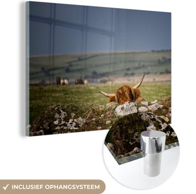 MuchoWow® Glasschilderij 150x100 cm - Schilderij acrylglas - Schotse Hooglander - Stenen - Gras - Foto op glas - Schilderijen