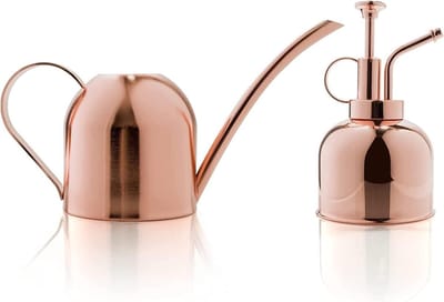 Watering Can Set - Gieter Planten - Planten Water Geven - Roestvrij Staal - 460ml - Koper