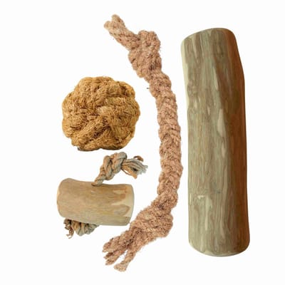 Boris & Lotje Hondenpakket hondenspeelgoed Kauwspeelgoed hond - Basispakket XXL Natuurlijk kauwen en spelen