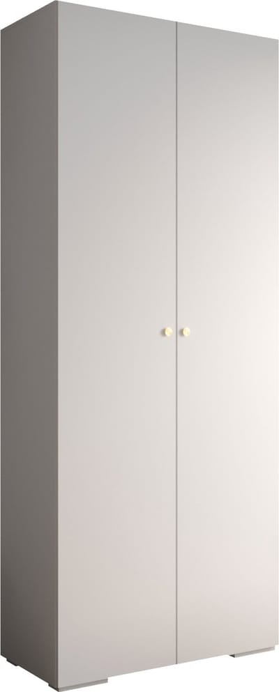 Opbergkast Kledingkast met 2 draaideuren Garderobekast slaapkamerkast Kledingstang met planken | Gouden Handgrepen, elegante kledingkast, glamoureuze stijl (LxHxP): 100x237x47 cm - IVONA 2 (Wit, 100 cm)