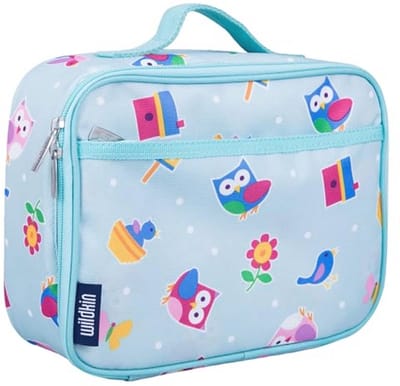 Kinder Lunchbox voor school, geïsoleerd, meerkleurig ontwerp met uilen en vogels