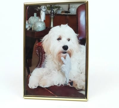 AL - Fotolijst - Goud - Bol - 5 x 8 cm