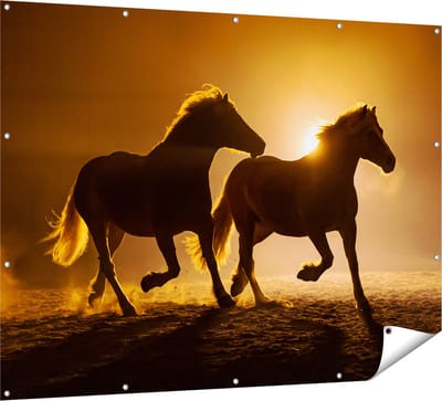 Gards Tuinposter Silhouet van Twee Paarden - 160x120 cm - Tuindoek - Tuindecoratie - Wanddecoratie buiten - Tuinschilderij