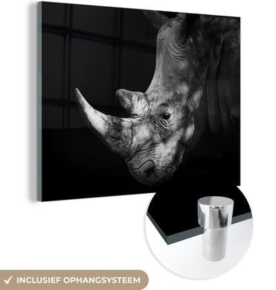 MuchoWow® Glasschilderij 160x120 cm - Schilderij acrylglas - Neushoorn - Dier - Licht - Foto op glas - Schilderijen